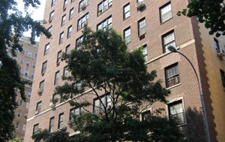 Brick apartment building with tree in foreground.